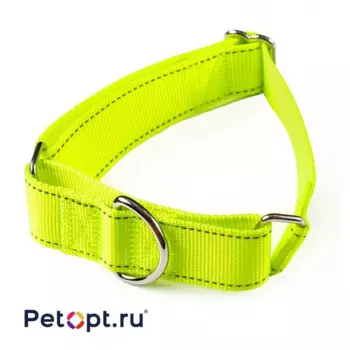 PetOpt Ошейник-мартингейл светоотражающий, нейлон, Флуоресцентный желтый L-40 мм 45-65 см l Китай 1 уп. х 1 шт. х 0.124 кг