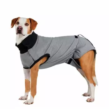 Попона защитная Trixie для собак L–XL, длина спины 62 см, из хлопка с эластаном серая супер премиум Китай 1 уп. х 1 шт. х 0.332 кг