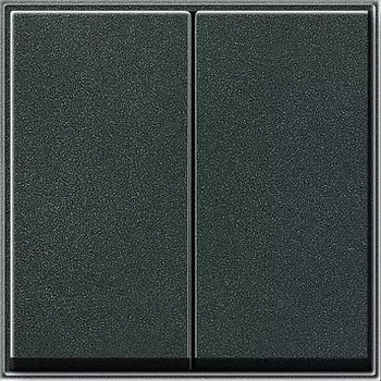 029567 Клавиша двойная Антрацит Gira TX44
