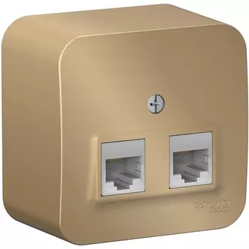 Розетка двойная Ethernet RJ-45 (титан) Systeme Electric Blanca BLNIA045454