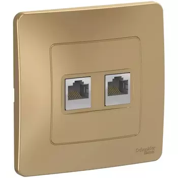 Розетка двойная Ethernet RJ-45 (титан) Systeme Electric Blanca BLNIS045454