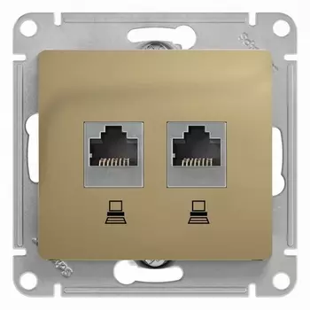 Розетка двойная Ethernet RJ-45 (титан) Systeme Electric GSL000485KK
