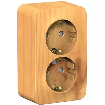 Розетка двойная с заземлением и шторками (ясень) Systeme Electric Blanca BLNRA011205
