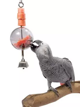 HAPPY BIRD Развивающая игрушка-кормушка Шар д/попугаев!