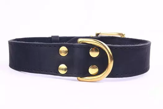 ZOOLESZCZ Ошейник для собак "Exclusive Gold", черный, 60х2.5см