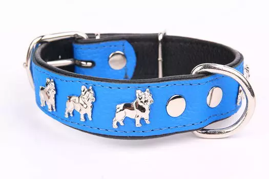 ZOOLESZCZ Ошейник для собак "French Bulldog", сине-черный, 50х3см