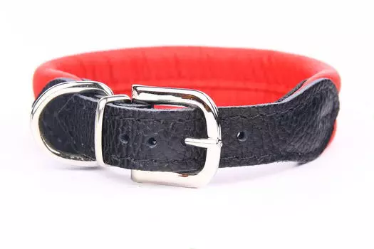 ZOOLESZCZ Ошейник для собак "Soft", красный, 50х2.5см