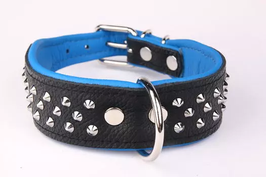 ZOOLESZCZ Ошейник для собак "Studs", черно-голубой, 50х4см