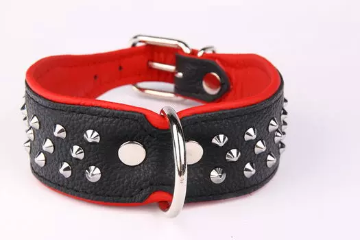ZOOLESZCZ Ошейник для собак "Studs", черно-красный, 45х4см
