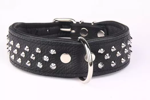 ZOOLESZCZ Ошейник для собак "Studs", черный, 50х4см