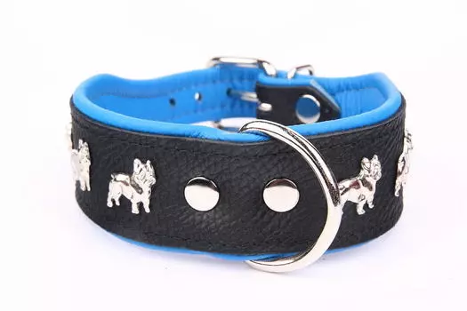 ZOOLESZCZ Ошейник для собак "Super French Bulldog", черно-голубой, 55х4см
