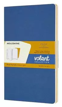 Блокнот Moleskine Volant Large (qp721b41m17)