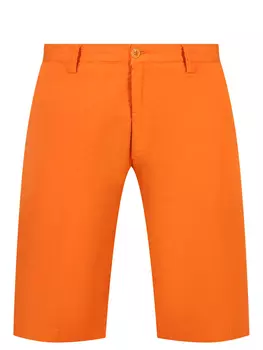 Шорты хлопковые ETRO