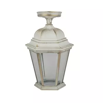 Потолочный светильник уличный IP44 Oasis Light ASTORIA 2 91405LA Gw
