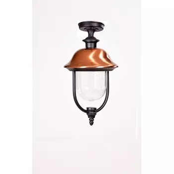 Потолочный светильник уличный IP44 Oasis Light MADRID-COOPER 84305cA Bl