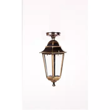 Потолочный светильник уличный IP44 Oasis Light PETERSBURG M 79805MA Gb