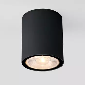 Потолочный светильник уличный светодиодный 35131/H IP65 Elektrostandard черный