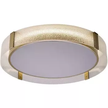 Потолочный светодиодный светильник круглый Zortes Gerda ZRS.1097.60