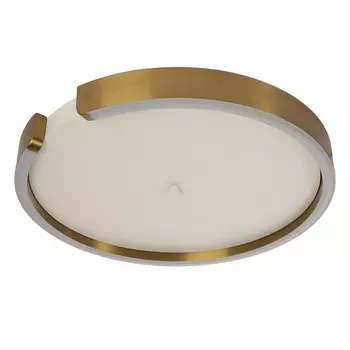 Потолочный светильник светодиодный Loft It Ring 10026