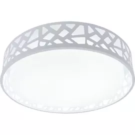 Потолочный светильник круглый светодиодный TopLight Leone TL1205X-72WH