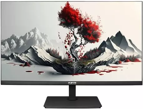Монитор RDW Computers RDW2401K черный