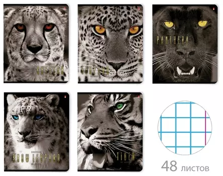 Тетрадь А5 48 л. альт скоба, клетка, глянцевый лак, "Большие кошки" (5 видов), 7-48-366