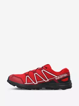 Кроссовки мужские Salomon Alkalin Trail, Красный, размер 46.5