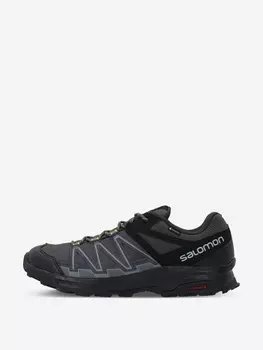 Кроссовки мужские Salomon Leonis Gtx, Синий, размер 41
