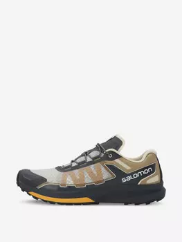 Кроссовки мужские Salomon Ultra Raid, Серый