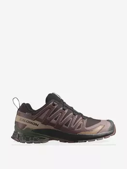 Кроссовки Salomon XA PRO 3D V9 GTX, Коричневый