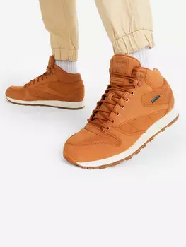Кроссовки утепленные мужские Reebok Cl Lthr Mid Gtx-Thin, Бежевый