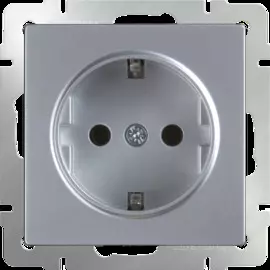 Розетка с заземлением (серебряный) Werkel WL06-SKG-01-IP20 4690389053894