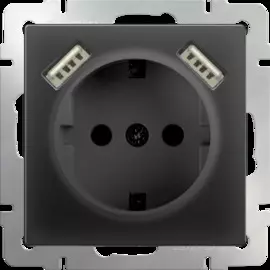 Розетка с заземлением, шторками и USBх2 (черный матовый) Werkel WL08-SKGS-USBx2-IP20 4690389073236