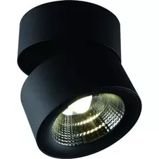Спот Divinare URCHIN 1295/04 PL-1