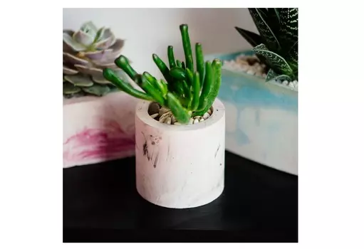 Крассула хобит в цилиндрическом кашпо (wowbotanica) белый 7x15x7 см.