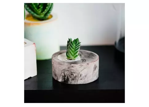 Крассула храм будды в овальном кашпо (wowbotanica) серый 8x7x6 см.