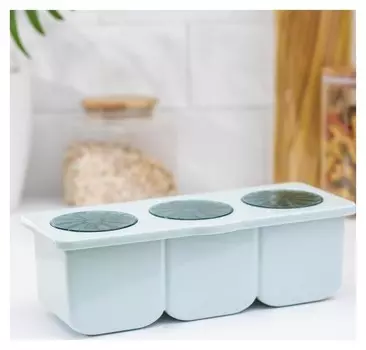 Банка для сыпучих продуктов, 24,5×10×8 см, 3 отделения, 3 ложки