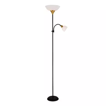 Торшер Arte Lamp Duetto A9569PN-2BK