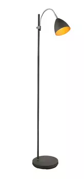 Торшер Globo Archibald 24858S