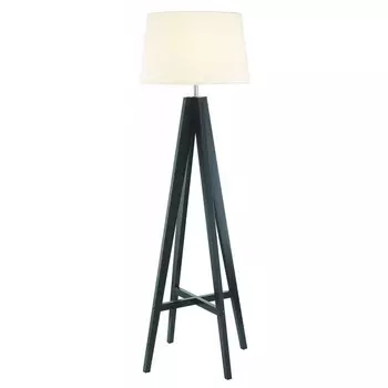 Торшер Arte Lamp EASY A4504PN-1BR
