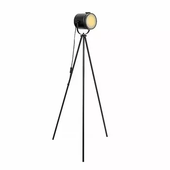 Торшер Lamplandia L1291 GENT, E27*1 макс 40Вт