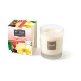 Аромасвеча "Цветок ванили", 170гр, DFV-005, Esteban Paris Parfums