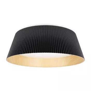 Потолочный светильник LOFT IT Evans 10224 Black