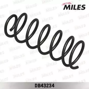 Пружина подвески HYUNDAI GETZ задняя DB43234 MILES