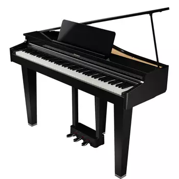 Roland GP-3 PE - чёрный полированный