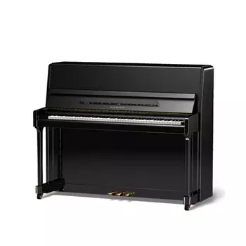Samick JS118D EBHP - чёрный полированный