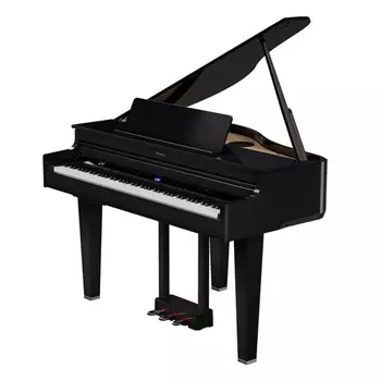 Roland GP-6 PE - чёрный полированный