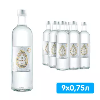 Вода Унжа Премиум 0,75 литра, газ, стекло, 9 шт. в уп.