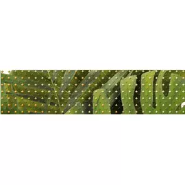 Бордюр Cersanit Tropicana 6x25 см TC1C021D
