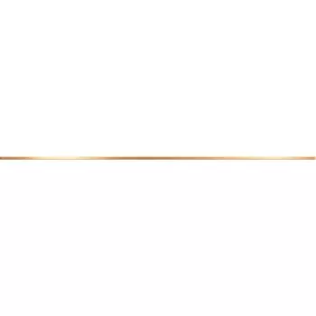 Бордюр Delacora Steel Gold BW0SST09 120x1,2 см